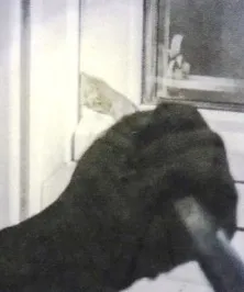 Hand in schwarzem Handschuh setzt ein Brecheisen an einem Fenster an